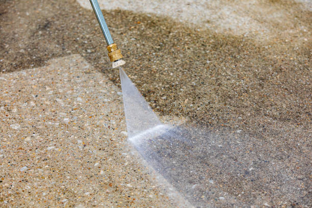 Best Soft Washing  in Twin Grove, IL