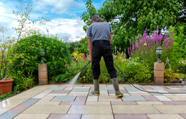 Reliable Twin Grove, IL Pressure Washing Solutions