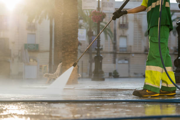 Best Solar Panel Cleaning  in Twin Grove, IL